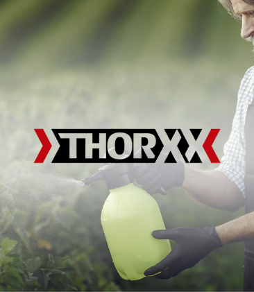 Banner Thorxx